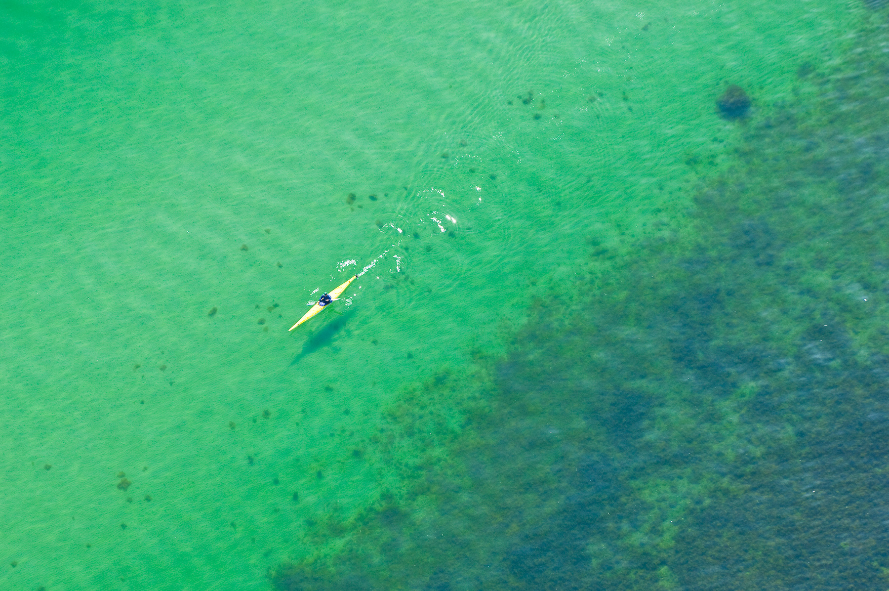 Kayak