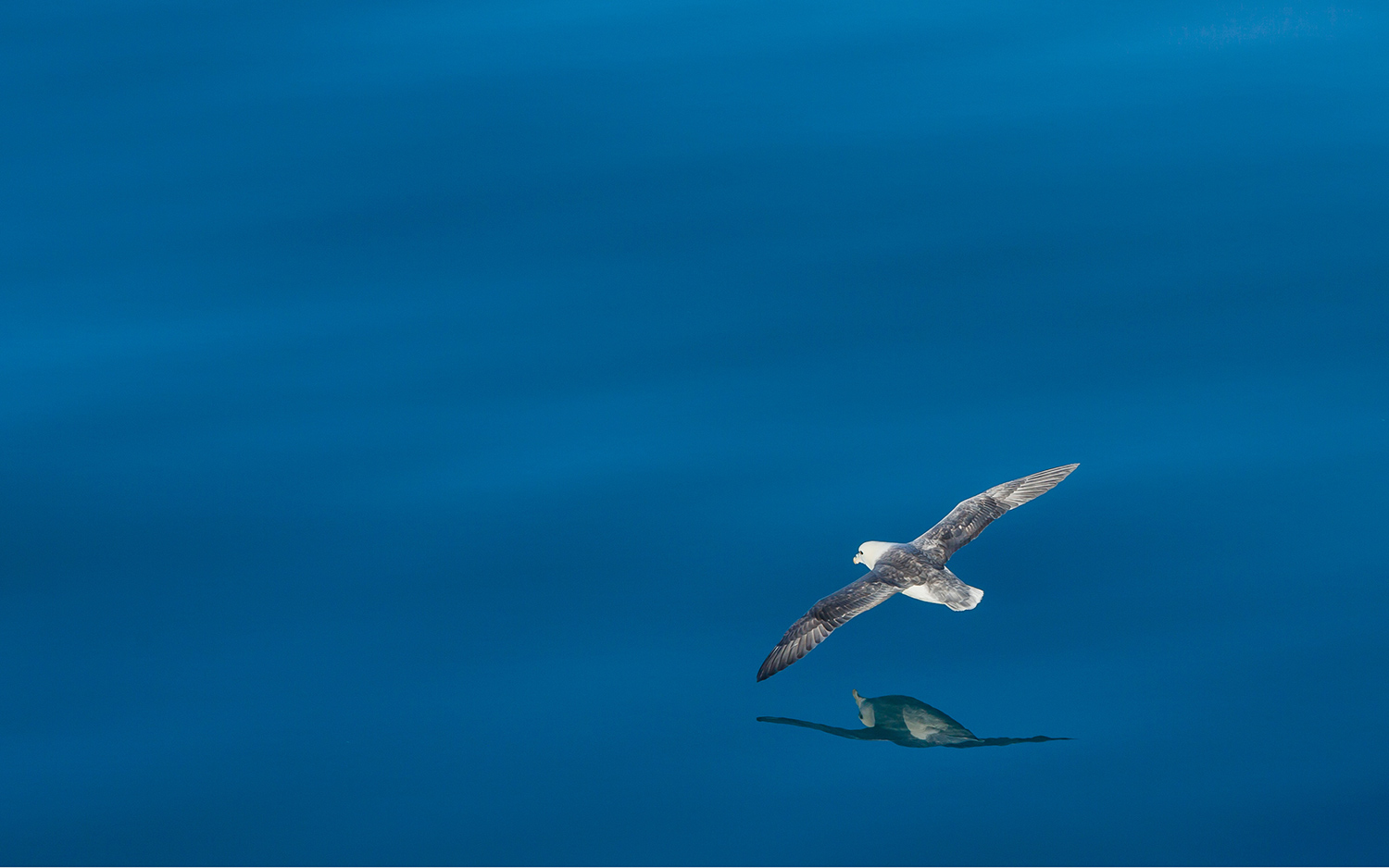 Calm sea