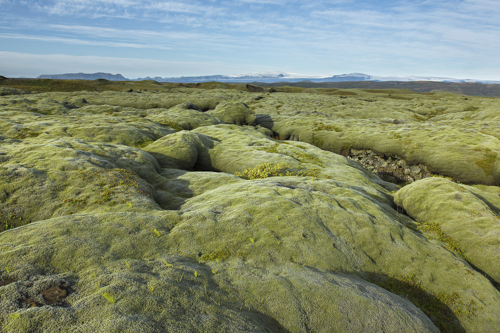 Soft lavafields