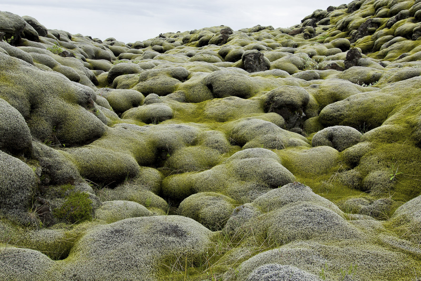 Soft rocks
