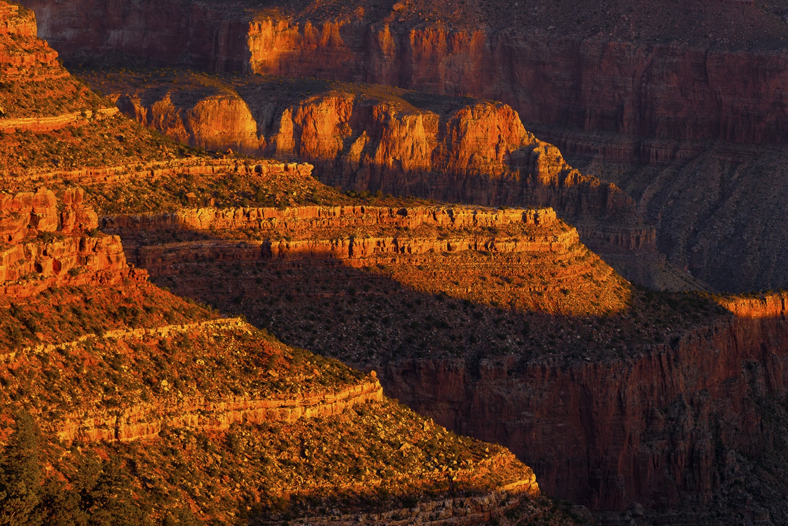 Good morning Grand Canyon