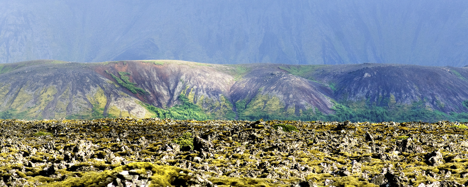 Lava fields