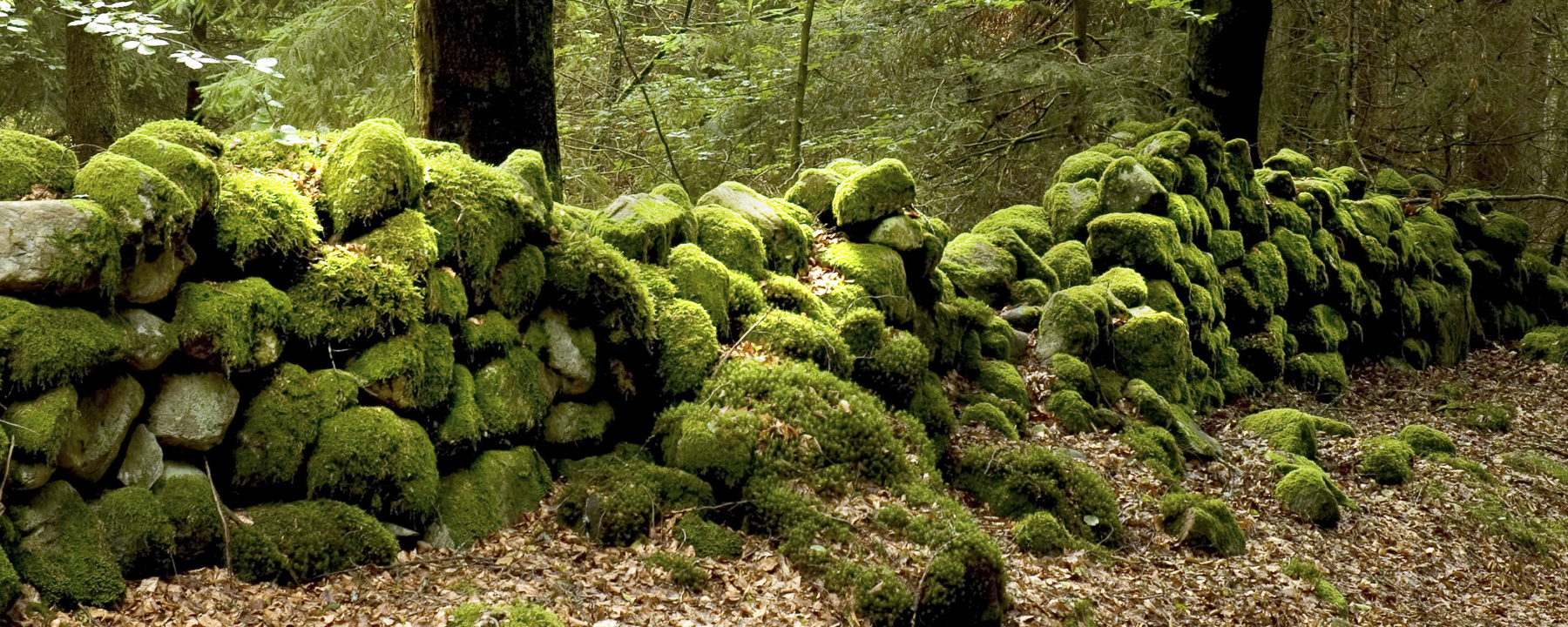 Stone wall