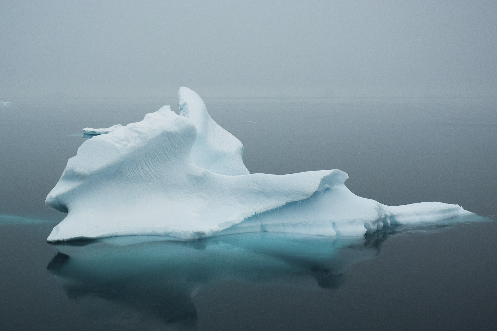 Iceberg in the mist