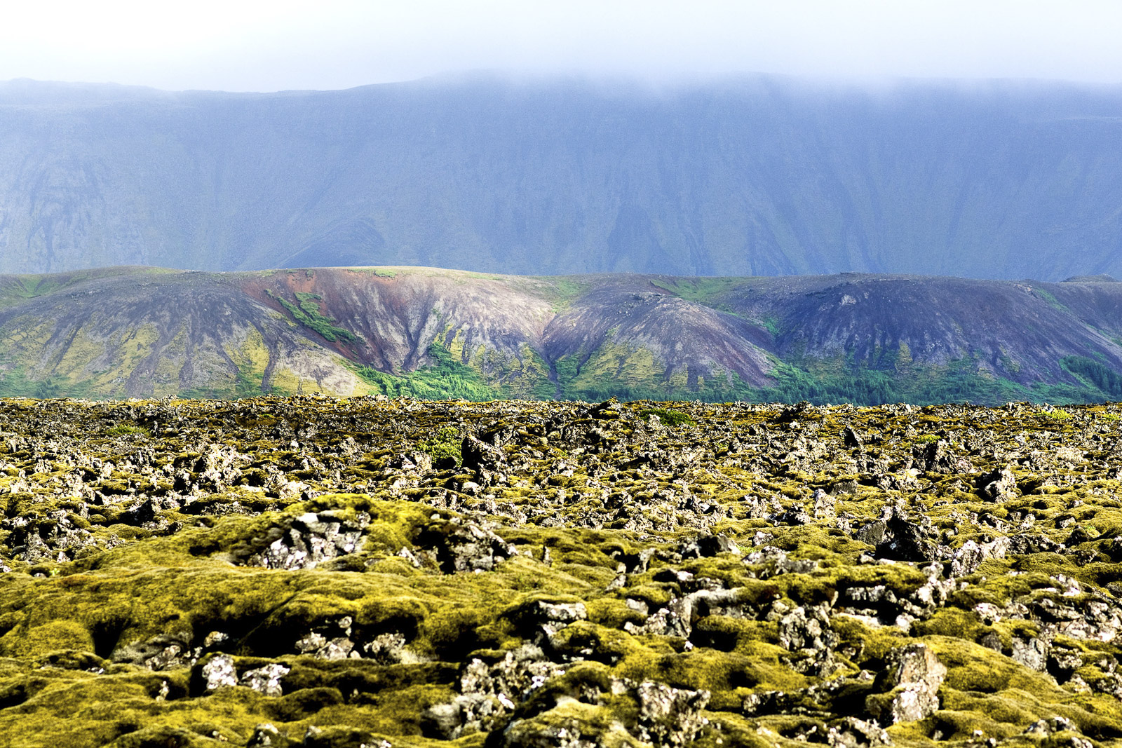 Lava field