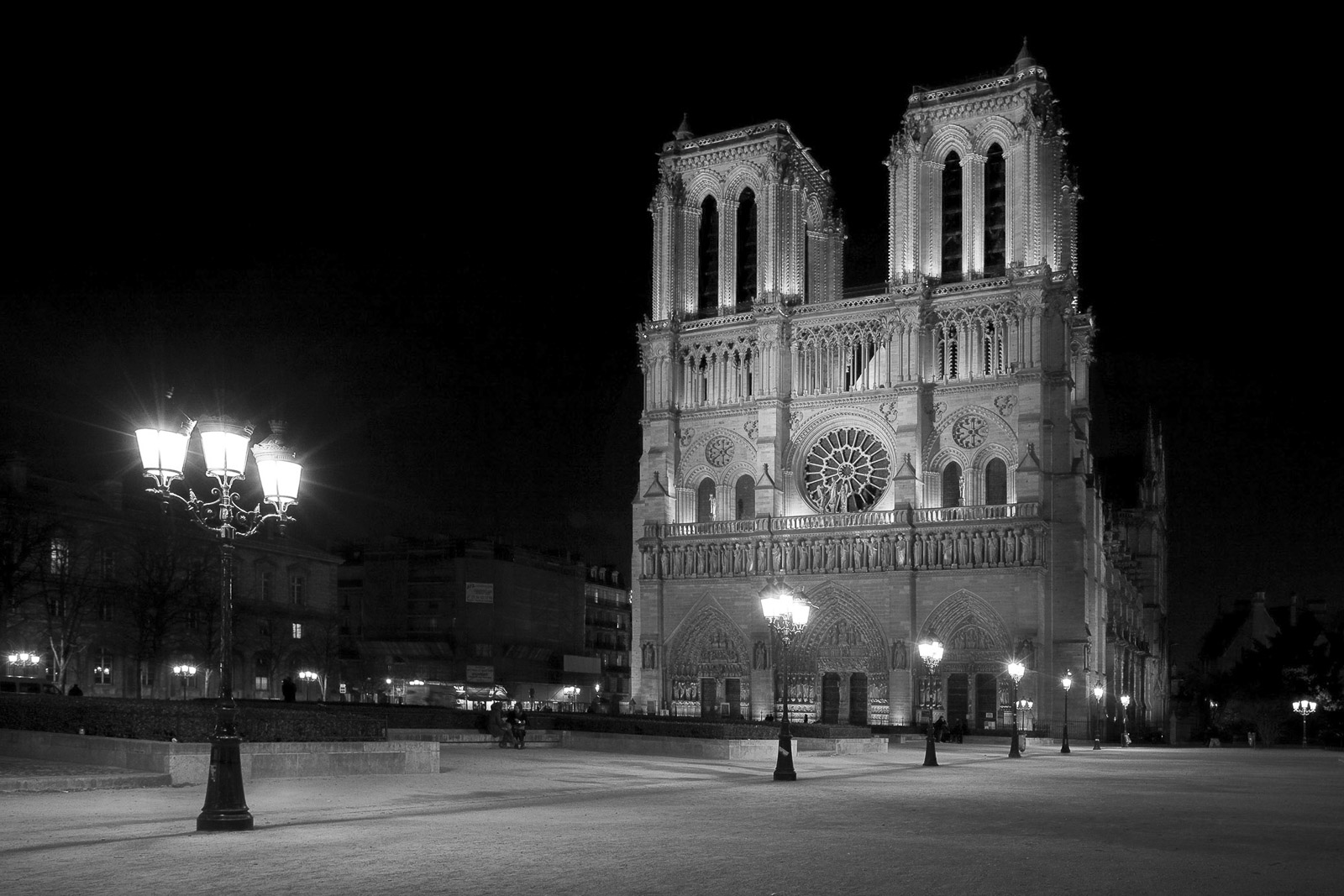 Notre Dame Henrik Schurmann