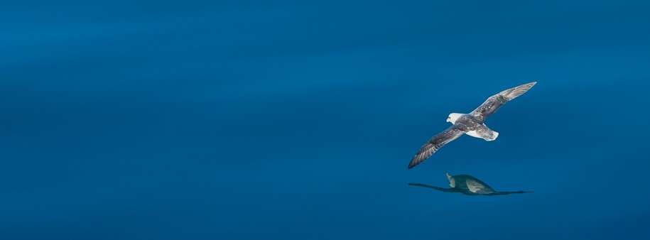 Havblik pano