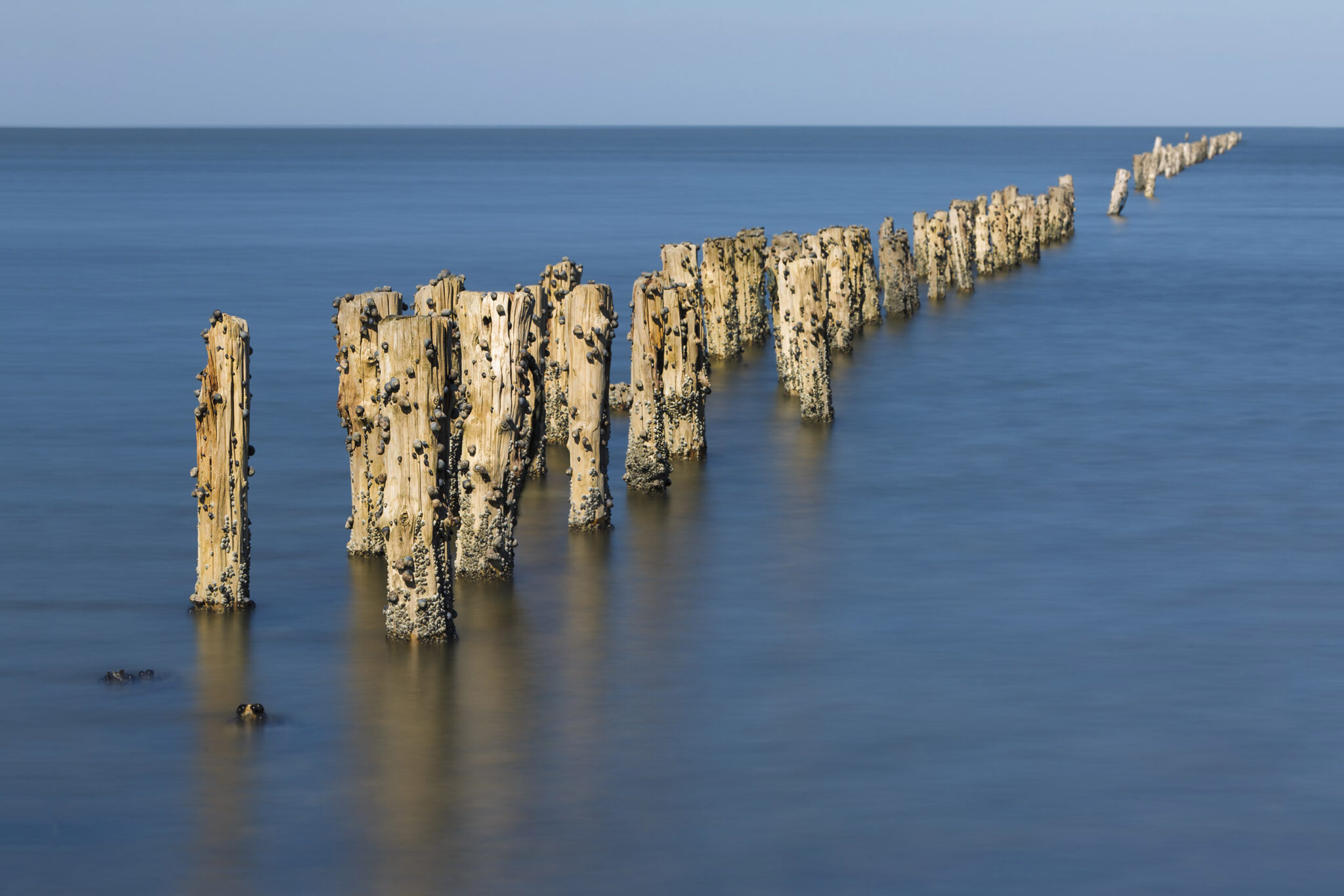Tidal zone