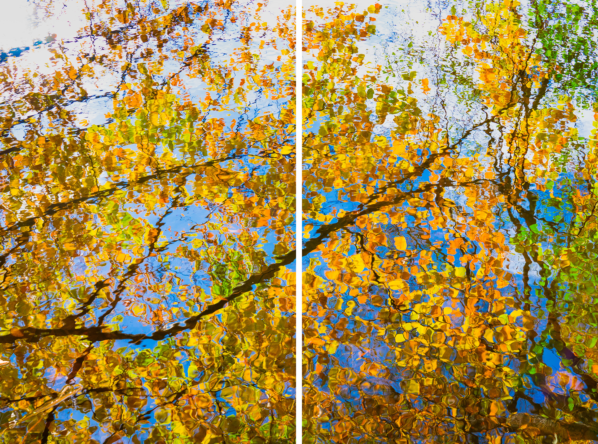 Autumn reflection - split edition
