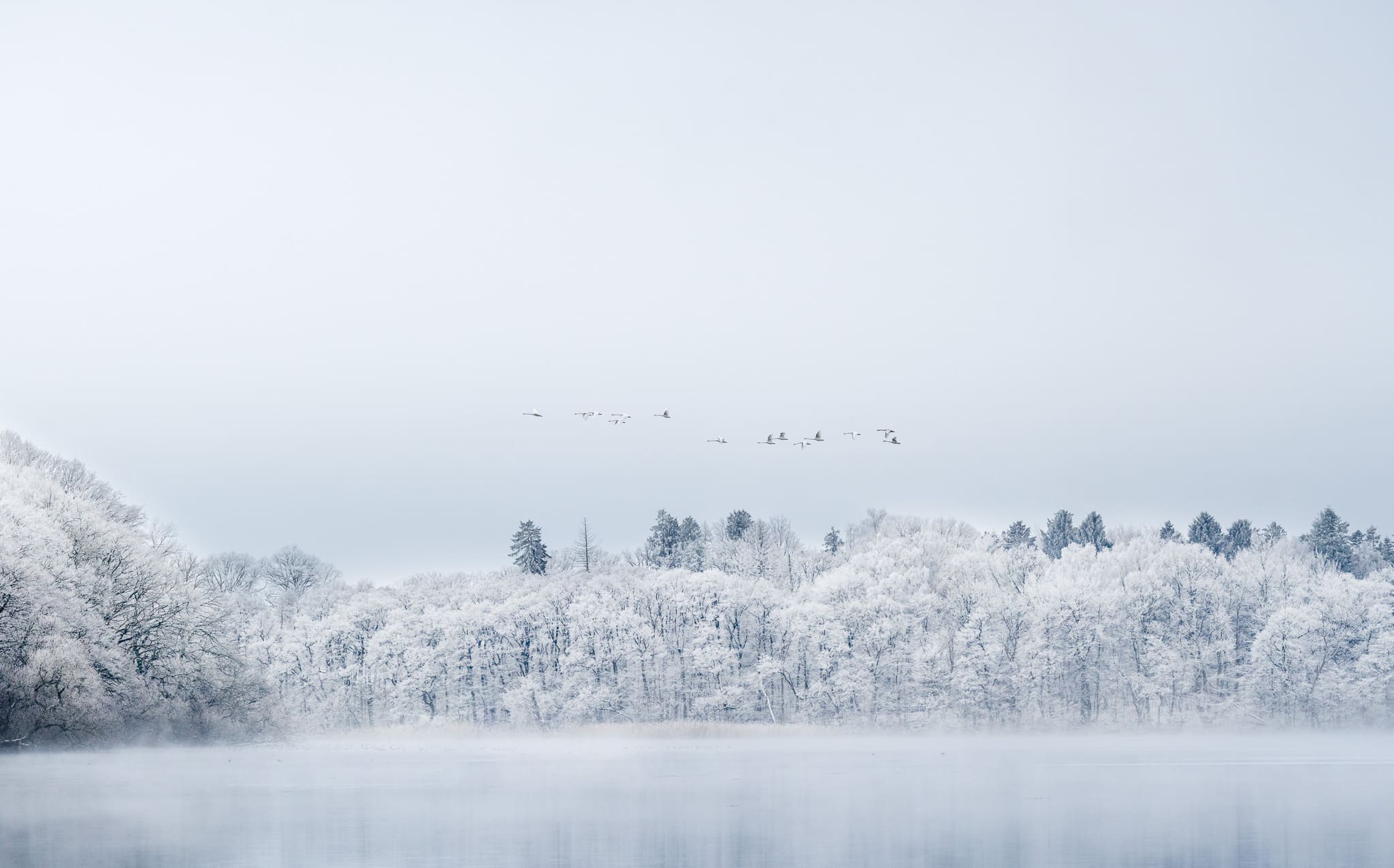 Winter dreams